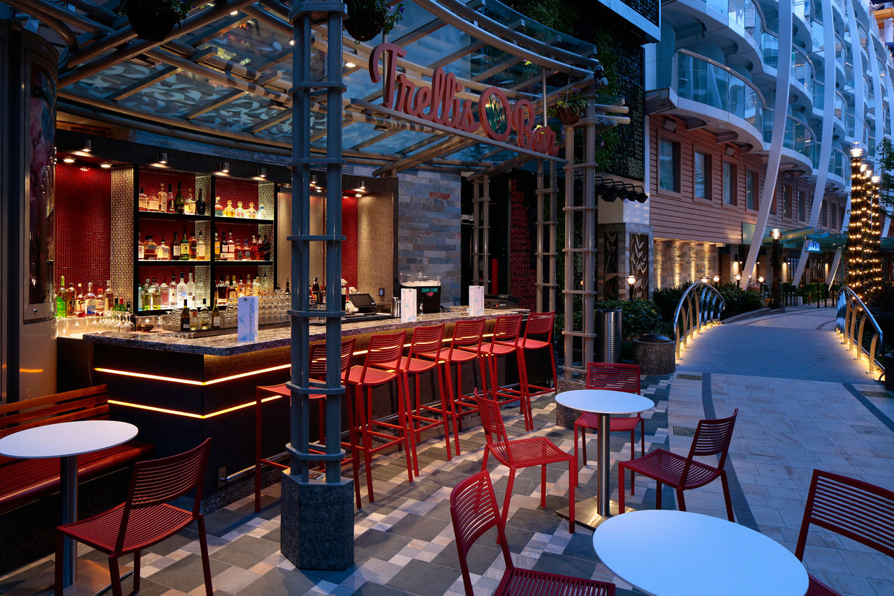Trellis Bar en Central Park del Harmony of the Seas